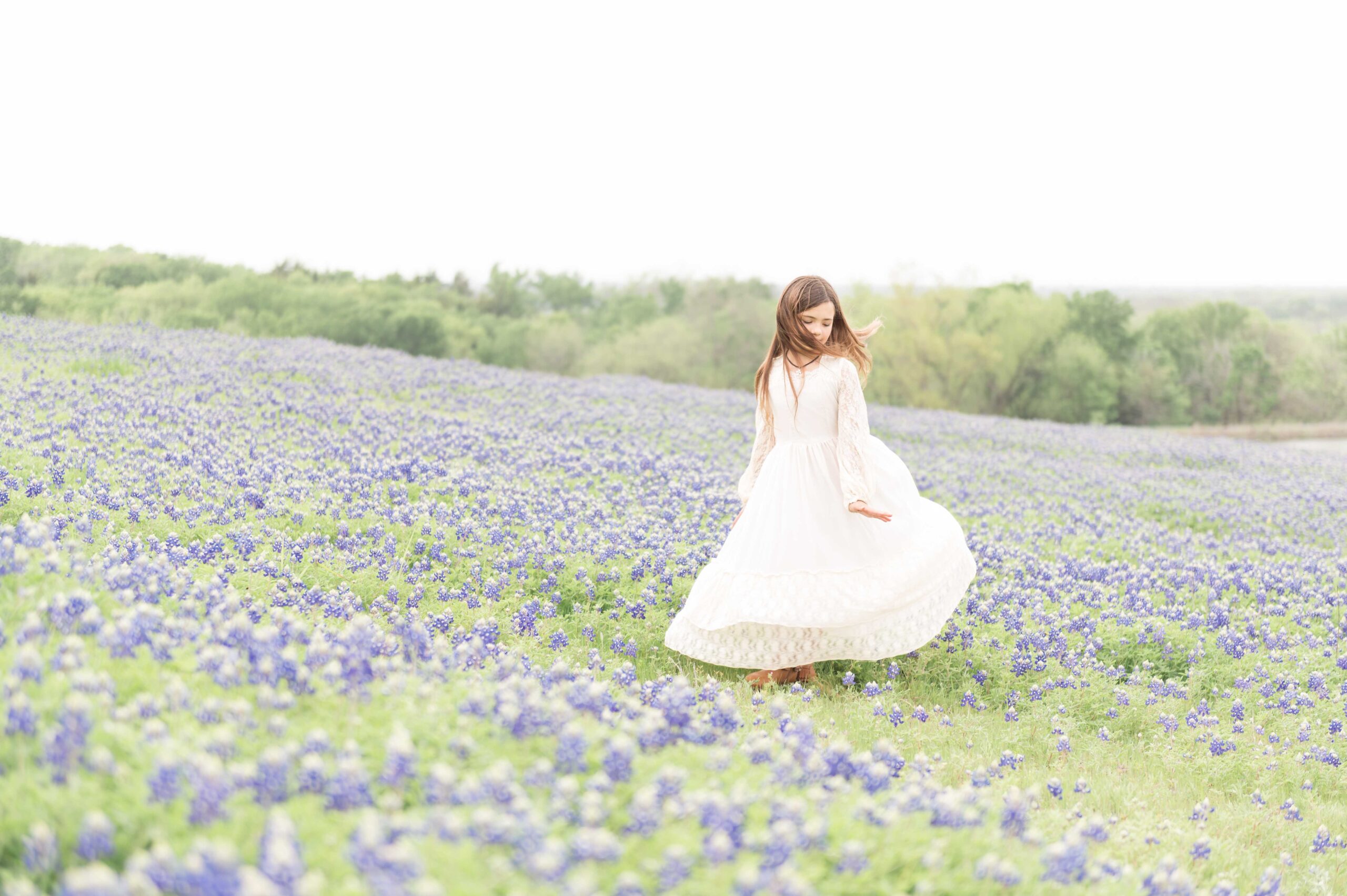 bluebonnet photography